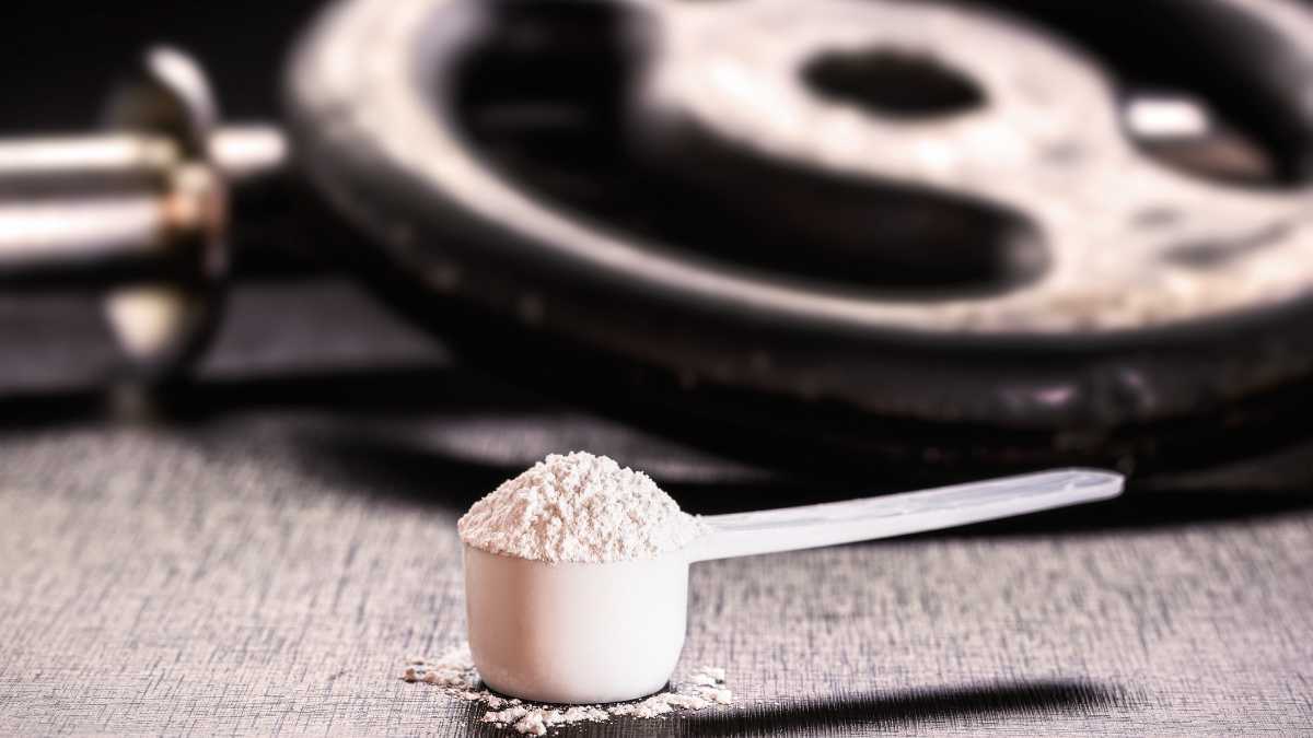 As melhores marcas de creatina para potencializar seus treinos