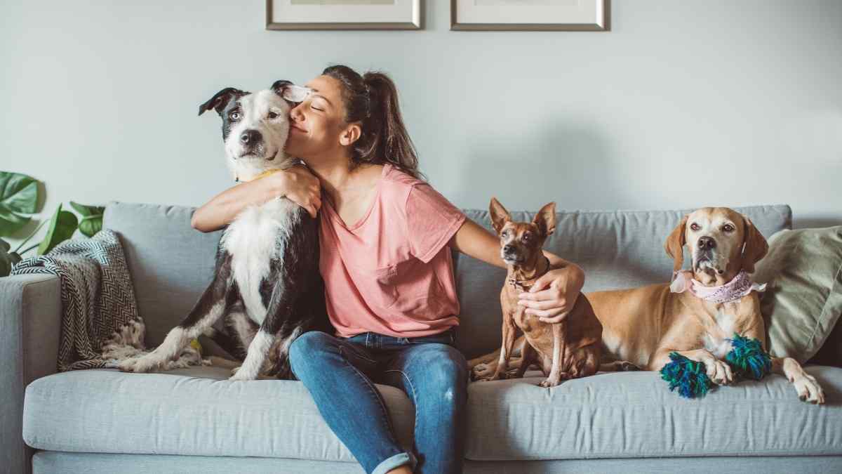Casa com pets: saiba como conservar seus móveis