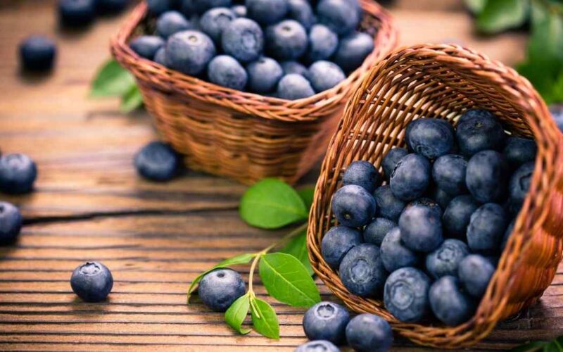 Conheça os 5 benefícios que o mirtilo oferece para sua saúde.