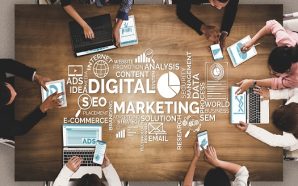 Como os profissionais de marketing digital devem se adaptar à…