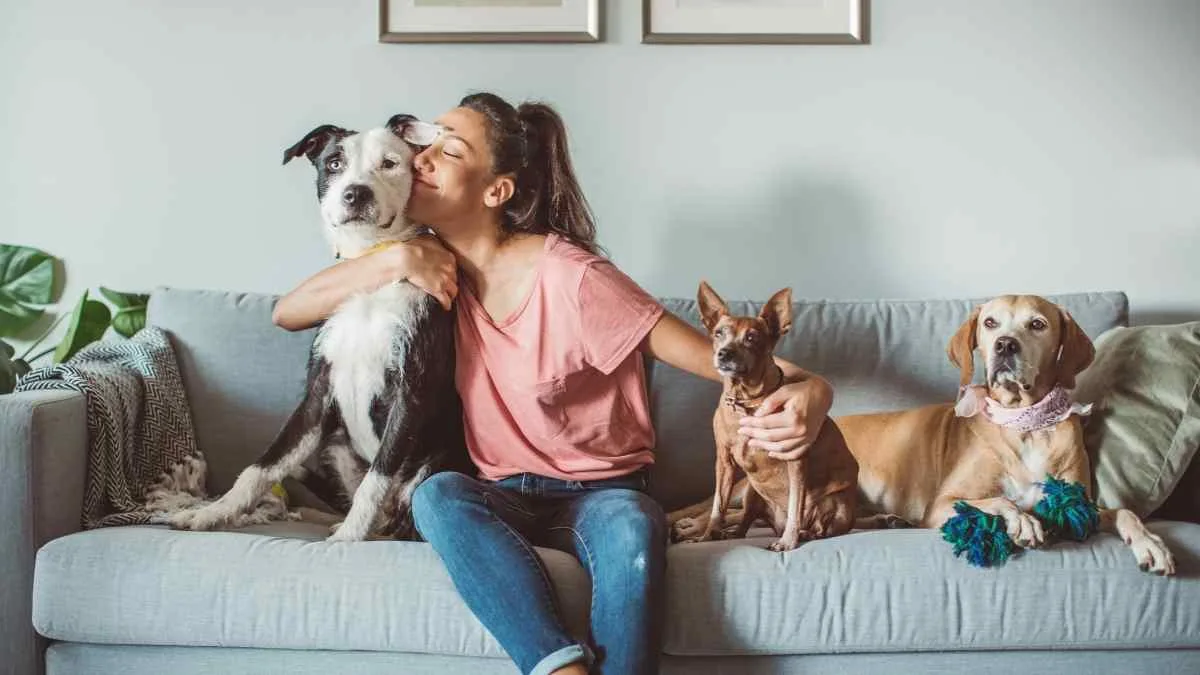 Casa com pets: saiba como conservar seus móveis