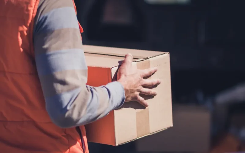 O que é Complemento Opcional