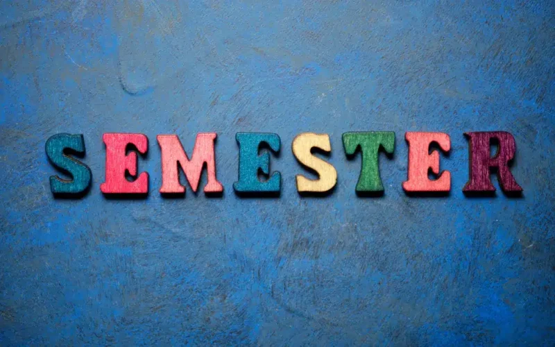 Quantos semestres tem um ano
