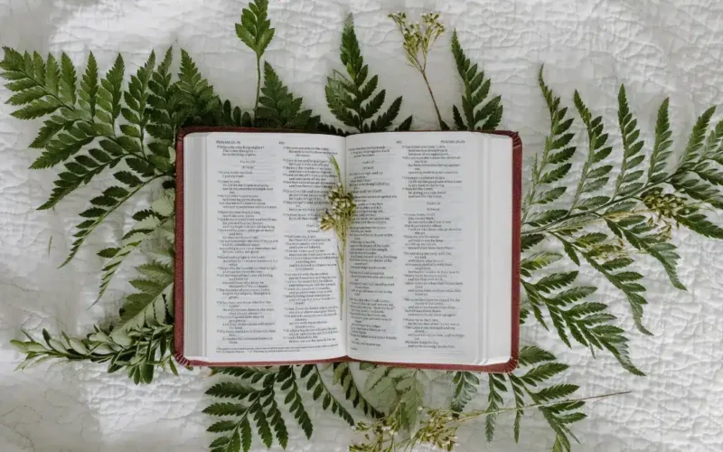 Livros Poéticos da Bíblia