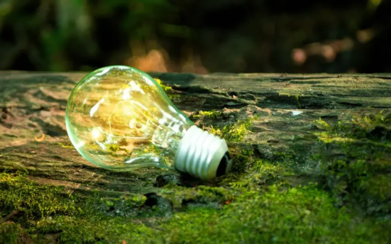 O que é Governança no ESG e por que ela é essencial para empresas e governos