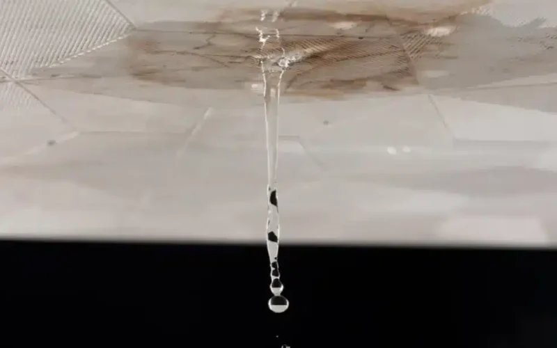 Vazamento no Teto por Causa do Esgoto do Vizinho