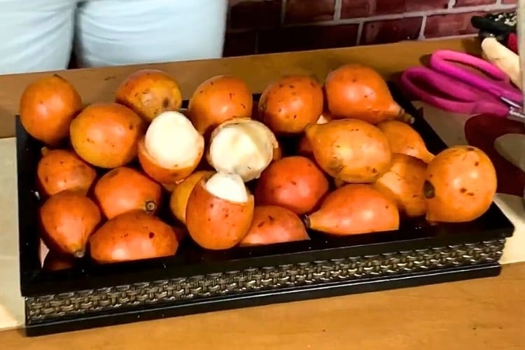 Fruta achachairu