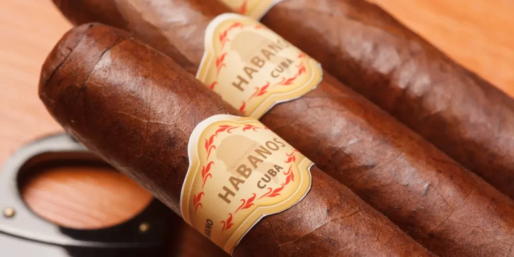 Charuto cubano