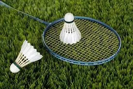 Sonhos com badminton: interpretação.
