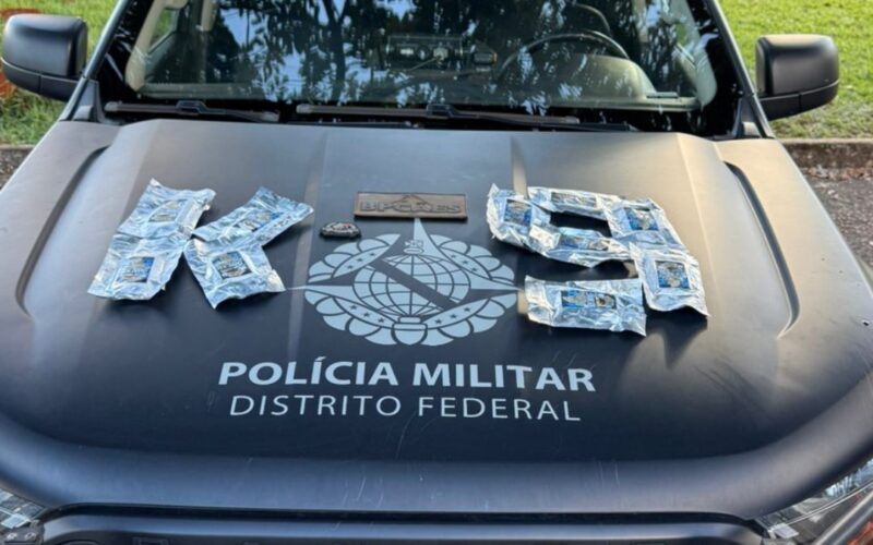 Cão Xamã apreende R$ 100 mil em drogas em rodoviária