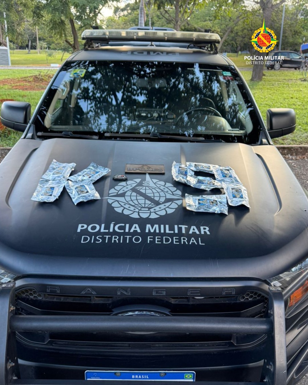 Cão Xamã apreende R$ 100 mil em drogas em rodoviária