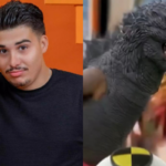 Globo substitui Pedro Henrique por dinossauro no BBB 26