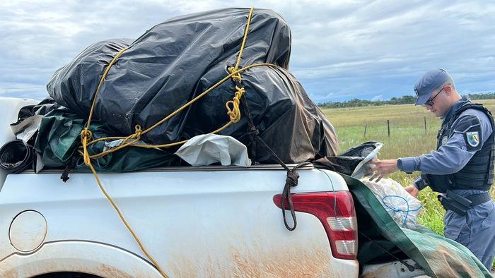 Quatro presos com grude de peixe de R$ 1 mi no Amapá