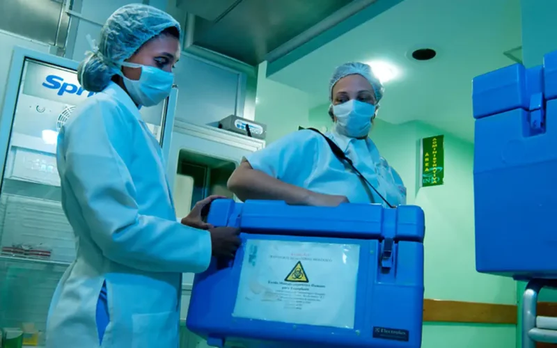 Brasil atinge recorde histórico: 31 mil transplantes em 2025