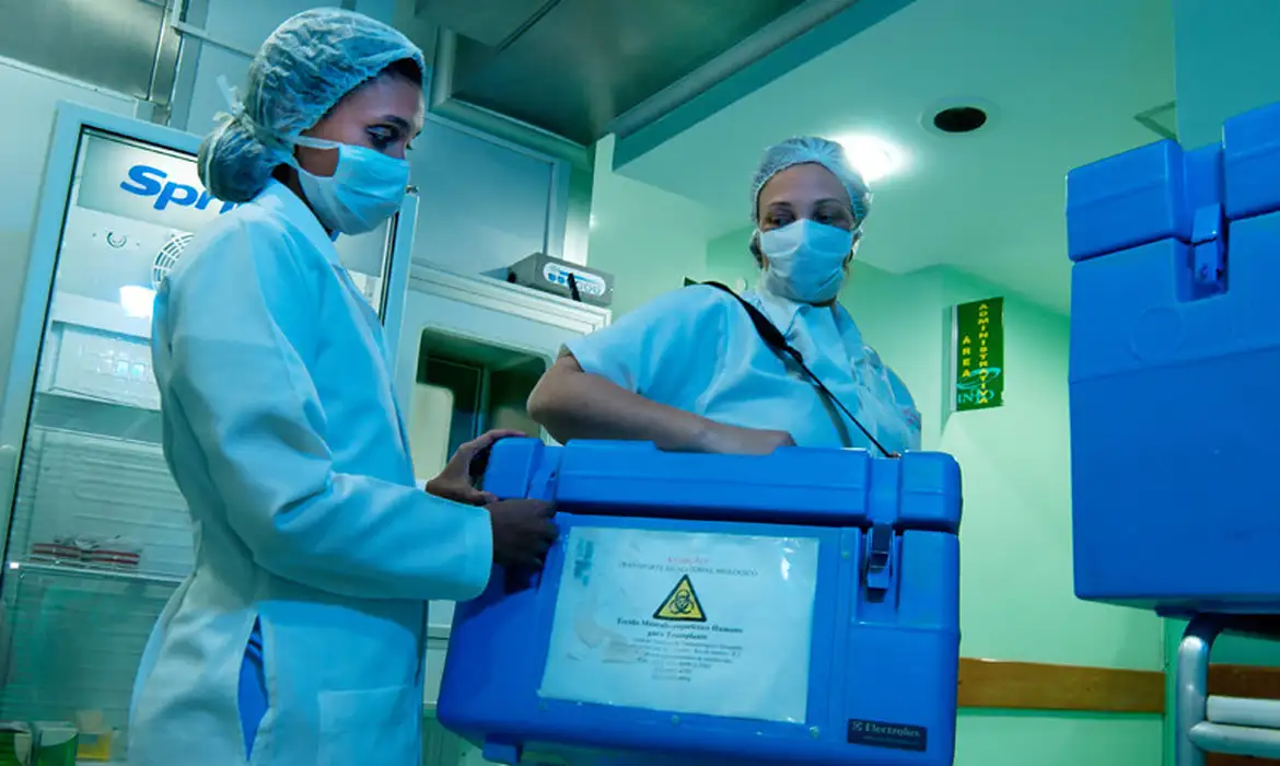 Brasil atinge recorde histórico: 31 mil transplantes em 2025
