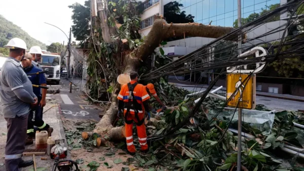 Especialistas pedem investimento para rede elétrica mais resiliente